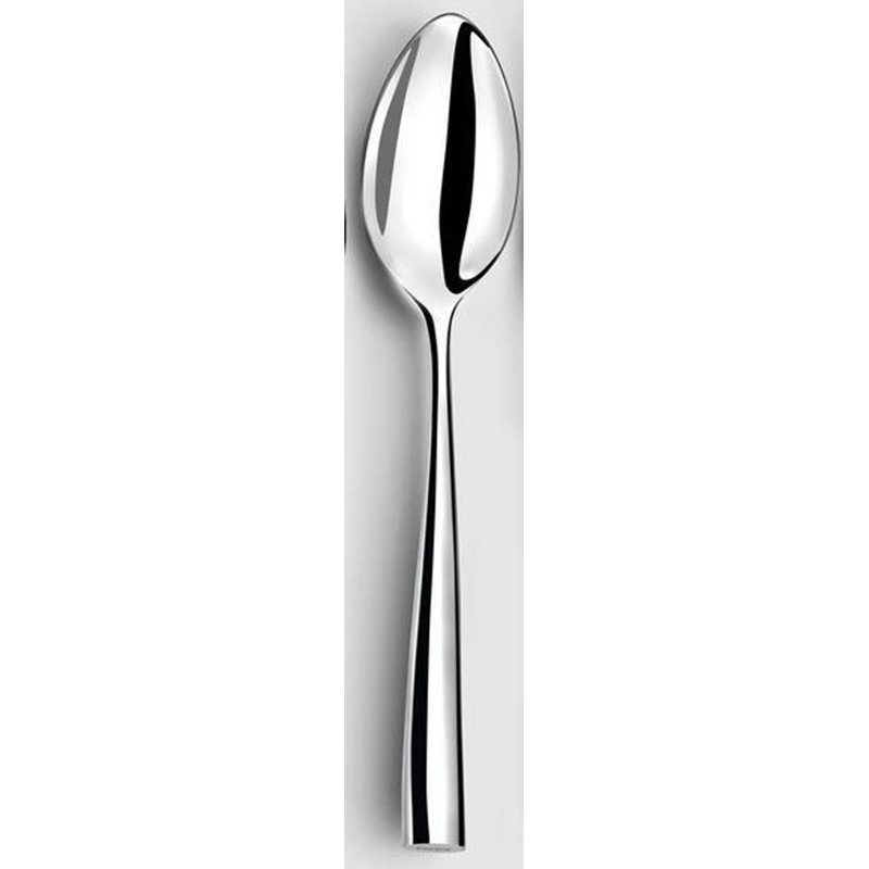 Silhouette Stainless Steel Dinner Spoon