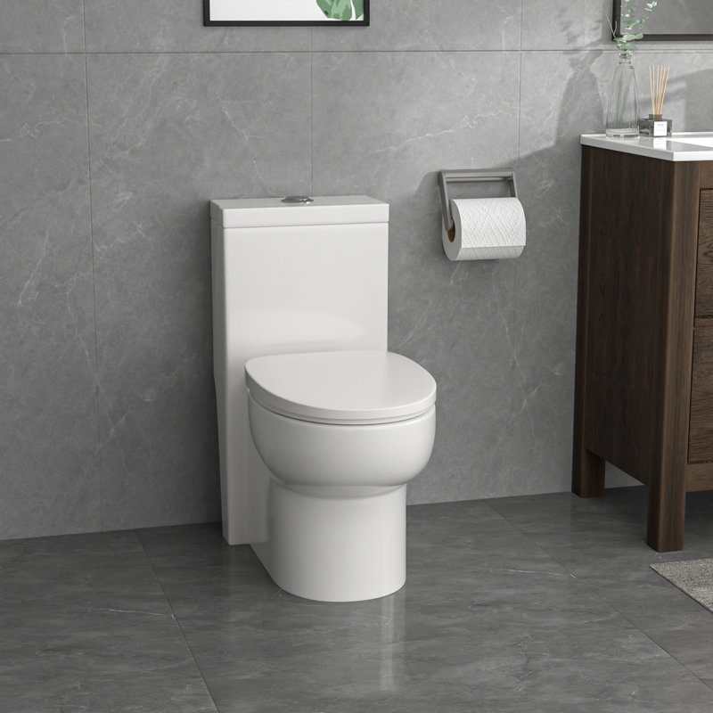 Mocoloo One-Piece Elongated Toilet Dual Flush 12" Rough-In Toilet with Soft-Close Quick-Release Seat, Dual Flush