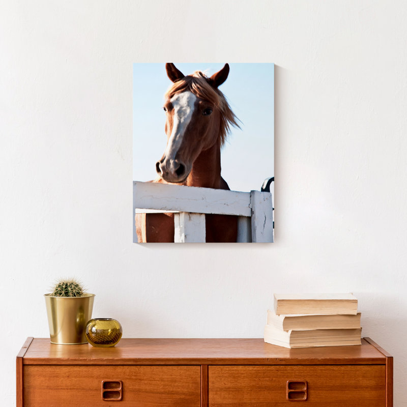 Curious Horse sur toile, H 14 po x l 11 po x P 1,25 po