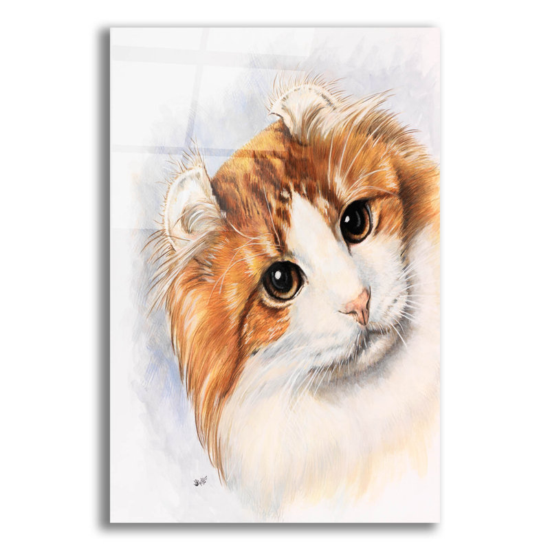«American Curl 2» par Barbara Keith, impression non encadrée, H 16 po x l 12 po x P 0,13 po