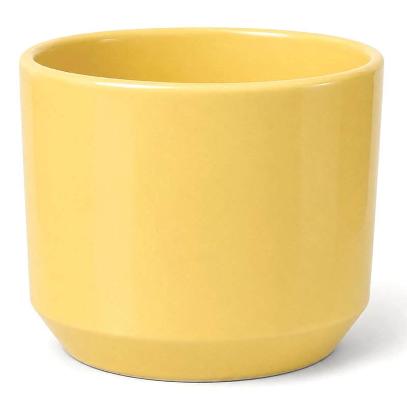 Shiny Yellow Pot