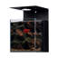 Glass Aluminum Desktop Fish Tank