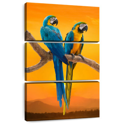 Brampt Sunset Macaw