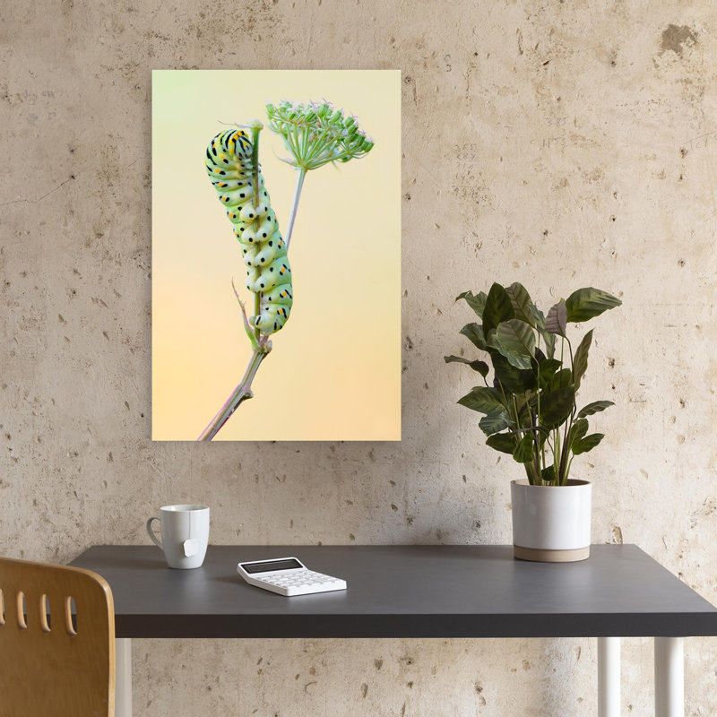 Green Caterpillar Climbing Delicate Vibrant Contemporary Animal Nature Wall Art Print 1 Piece Wrapped Canvas Wall Art