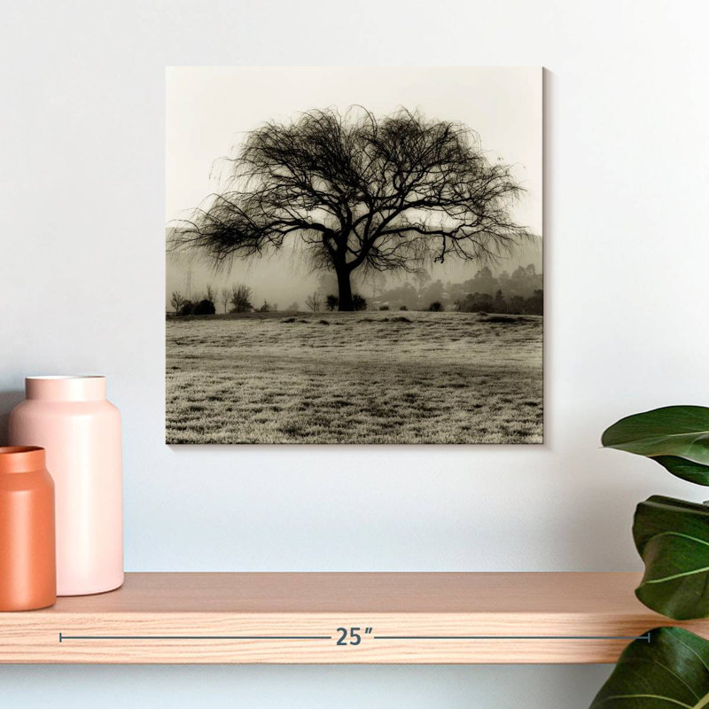 Harnek Black Willow Tree, 16" H x 16" W