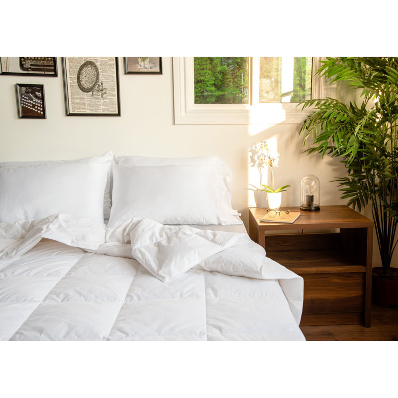 Édredon en duvet toutes saisons, Très grand