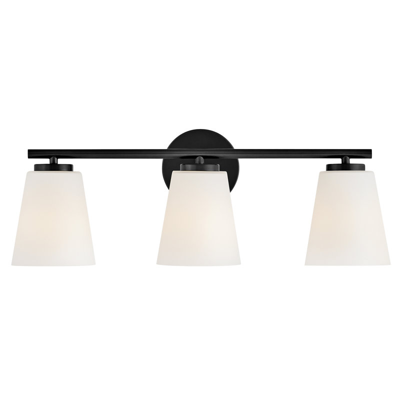 Bri Medium 3-Light Bath Vanity Fixture with Etched Opal Glass, Black
