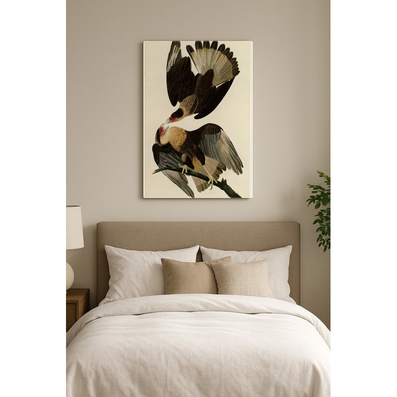 Aigle Caracara du Brésil (Planche 161) — Portrait en métal, H 14 po x l 11 po