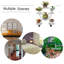 Plant Stand - Set of 6-105501335