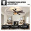 Ventilateurs de plafond 72 po 72 po Boho