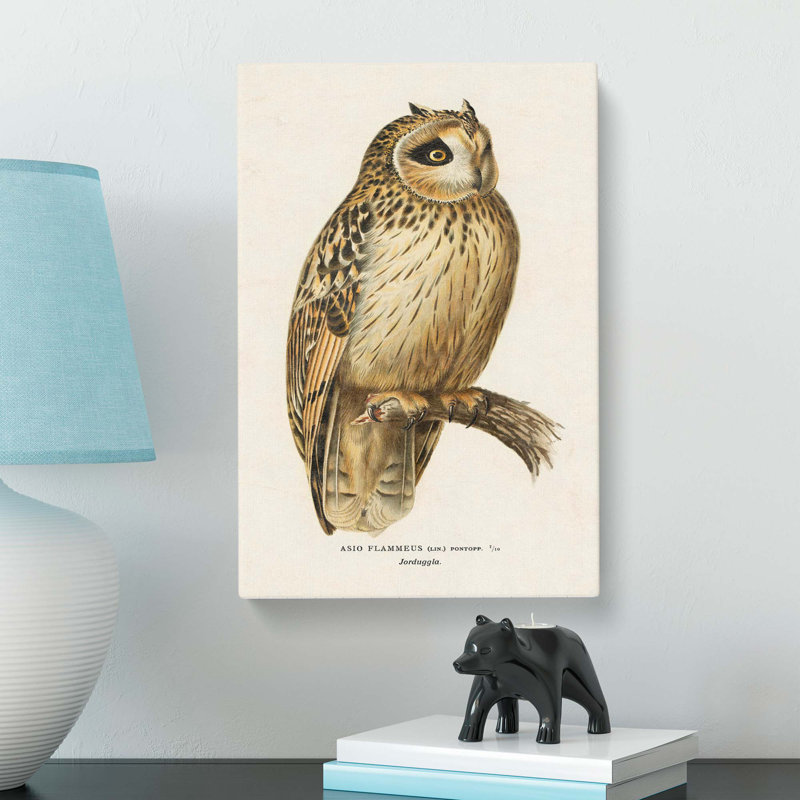 Short-eared Owl by Von Wright - Wrapped Canvas Print, 60cm H x 40cm W x 3cm D