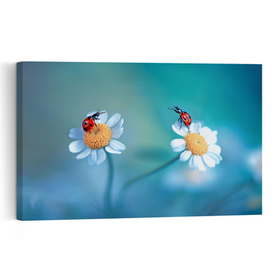 Two Ladybugs On Daisies Delicate Peaceful Tranquil Ladybug Daisy Nature Spring Wall Art Print 1 Piece Wrapped Canvas Wall Art