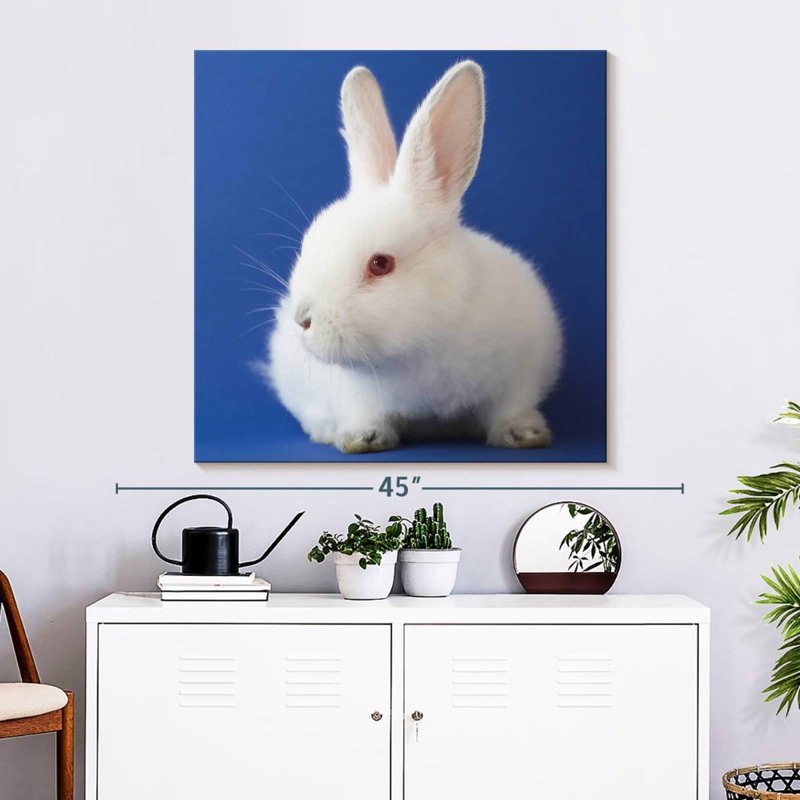 Crowle White Bunny On Blue, 33" H x 33" W