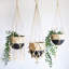 Support pour plante Remy