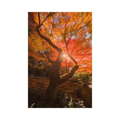 Autumn In Japan XXVIII by Daniel Kordan - Wrapped Canvas Print