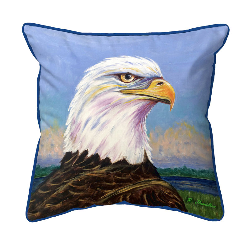  Housse et insert de coussin décoratif carré Eagle