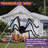 Halloween Spider Web and 59'' Giant Spider