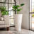 Pot Planter-638407445