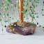 Véritable saule vert Aventurine gemme vert sur base Fluorite