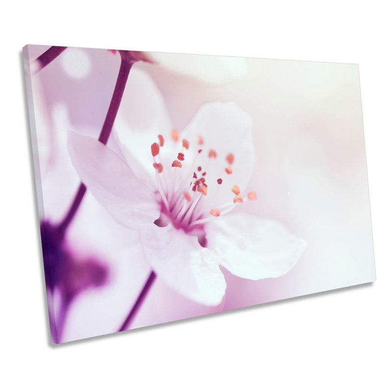 Cherry Branch Blossom Flower - Wrapped Canvas Print, 40.6cm H x 61cm W x 2cm D