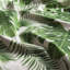 Excelsa Foliage Tablecloth 140X240 Cm-87092646