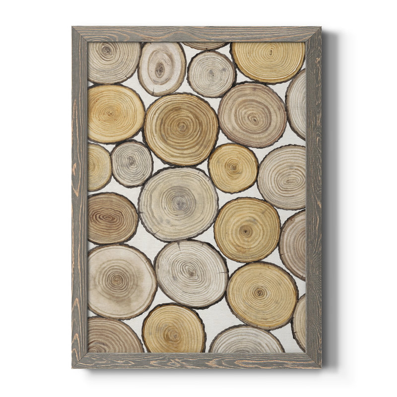 «Tree Ring Study I», toile encadrée de qualité supérieure - prête à être accrochée, Cadre gris, H 20 po x l 24 po x P 1 po