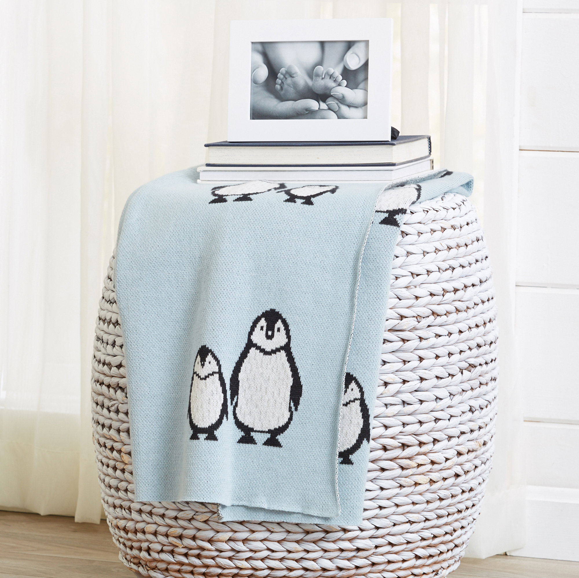 Baby Blankets for Less 2024 Wayfair