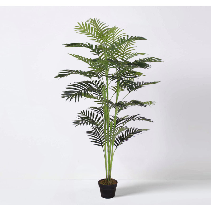 Faux Palm Plant in Pot, 150"H x 50"W