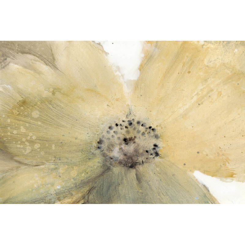 Floral Spirit IV by Timothy O' Toole - 1 Piece Wrapped Canvas Painting, 20cm H x 30cm W
