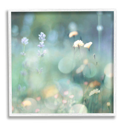 " Cottage Meadow Photography " by Kate Carrigan