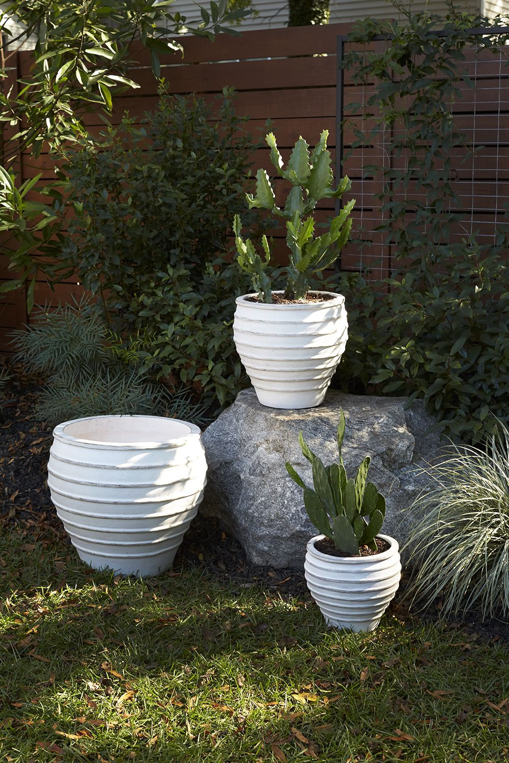 Ceramic Pot Planter