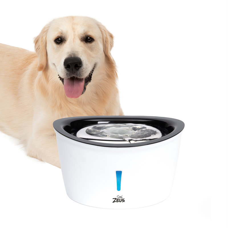 Zeus Cascade 6L Stainless Steel Dog Drinking Fountain