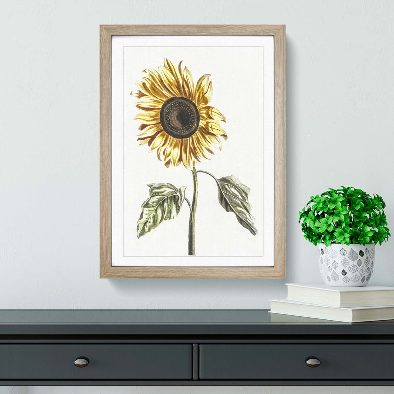 A Sunflower by Johan Teyler - Framed Print, Oak Framed, 45cm H x 33cm W x 2cm D