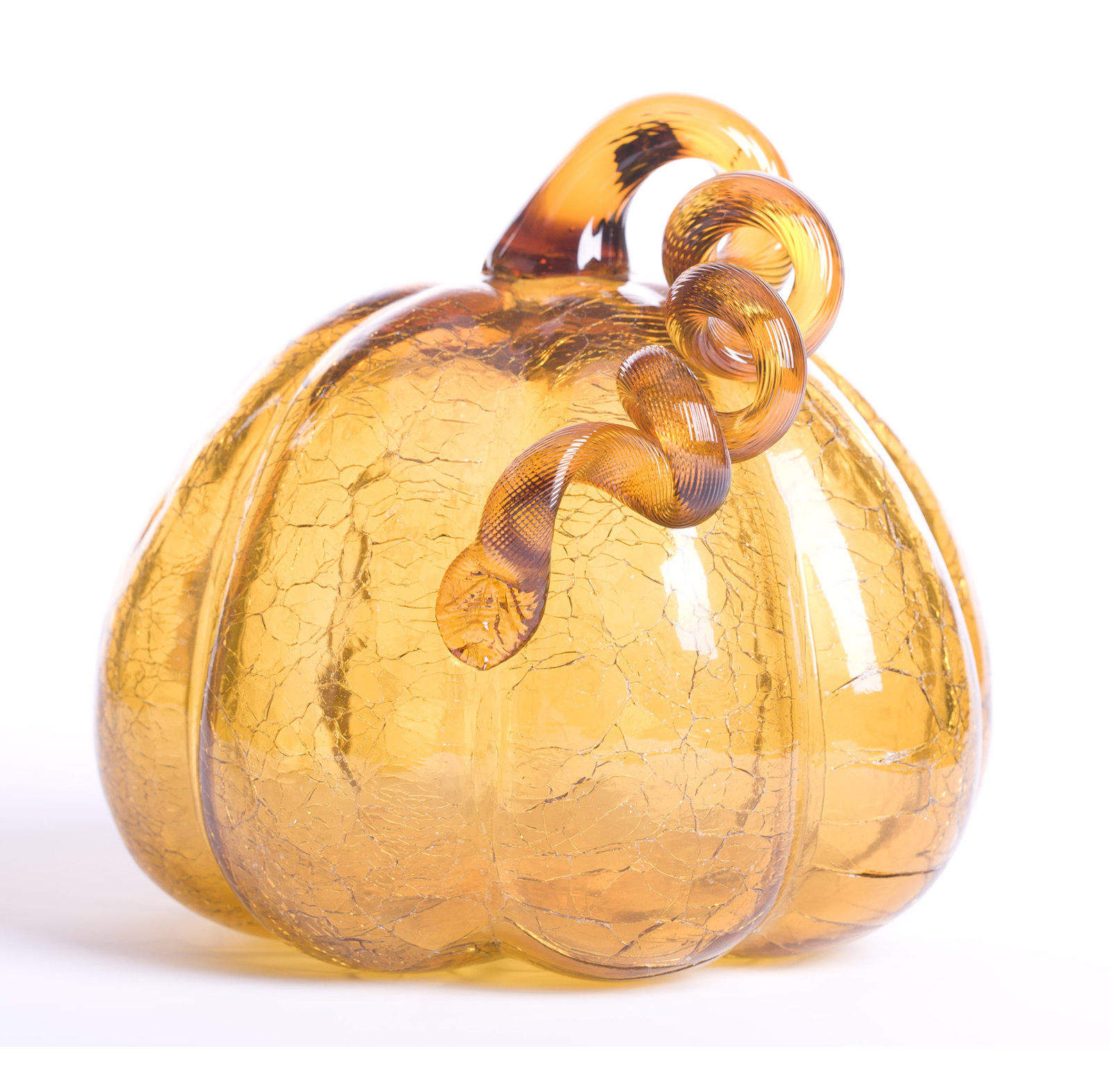 Thanksgiving No Animal(s) Decorative Accent