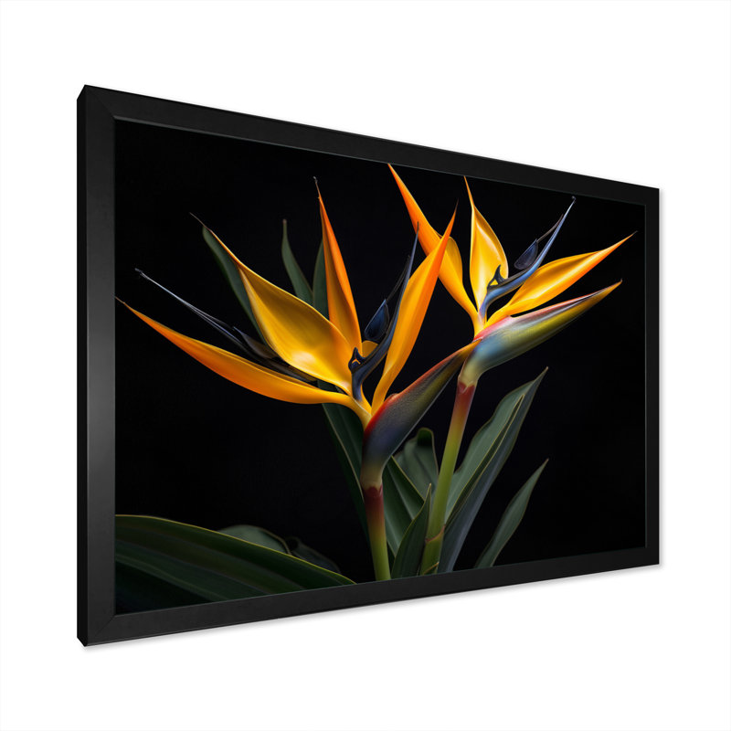 Oiseaux de paradis fleurs I - Art mural oiseaux de paradis, Cadre simple noir, H 34 po x l 44 po x P 1,5 po