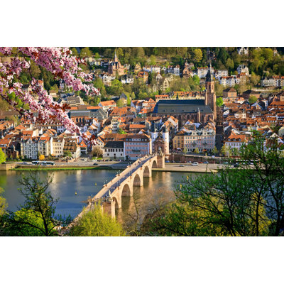 " Heidelberg At Spring "