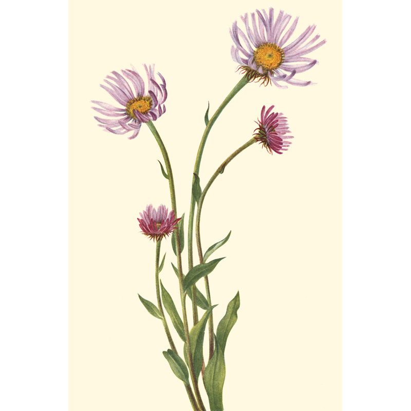 Delicate Wildflowers V - Painting on Canvas, 46cm H x 30cm W, Wrapped Canvas