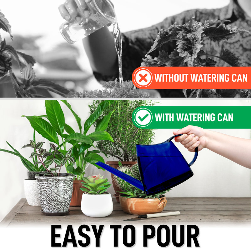 Arrosoir pour plantes d'intérieur Zulay