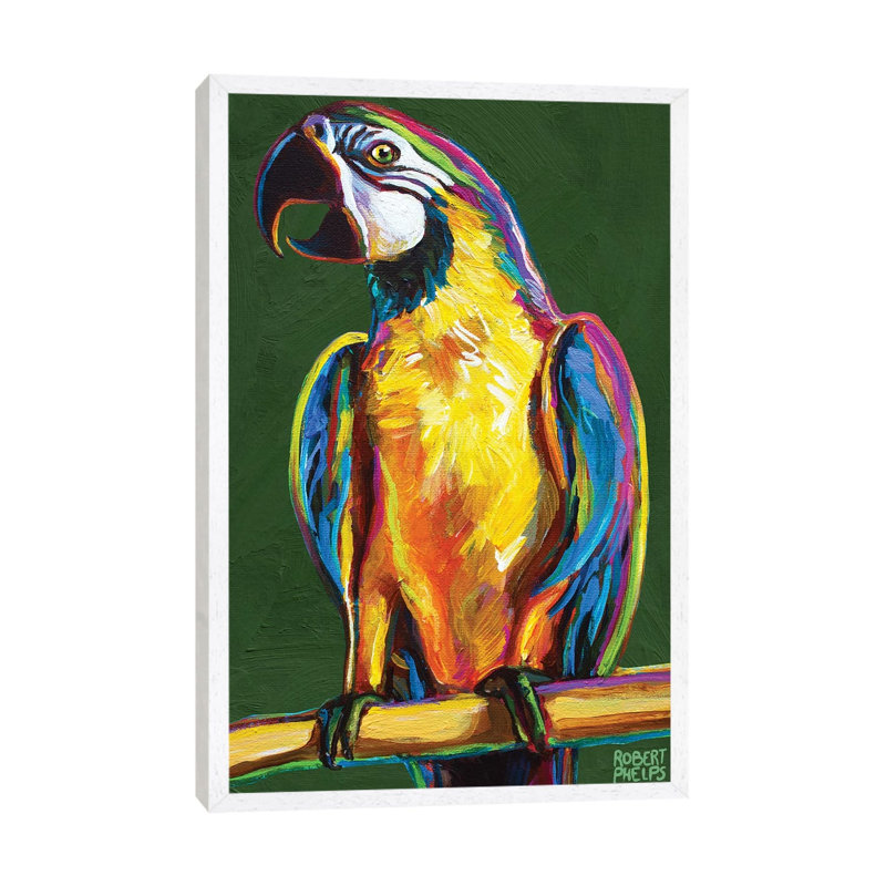 Parrot On Green by Robert Phelps - Gallery-Wrapped Canvas Giclée on Canvas, 101.6 cm H x 66.04 cm W, White Framed