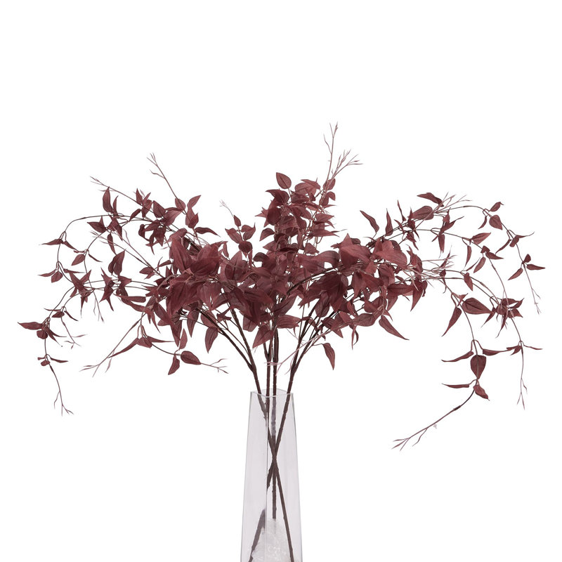 Anastasija Arrangement