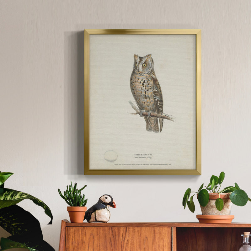 Scops - hibou grand-duc - toile encadrée de qualité supérieure - prête à être accrochée