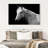 Brampt Horse Headshot-107719609