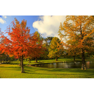 Autumn Landscape And Lake by Agustavop - No Frame Art Prints on Canvas