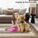 Brisseida Washable Geometric Indoor Rug