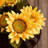 Wall-Mounted Artificial Flower