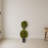 Cedar Double Ball Topiary with Lights