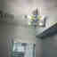 Photos des clients 2 de 2
