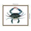 «Back Bay Catch I» par Grace Popp, reproduction d'art sur toile encadrée-112655012