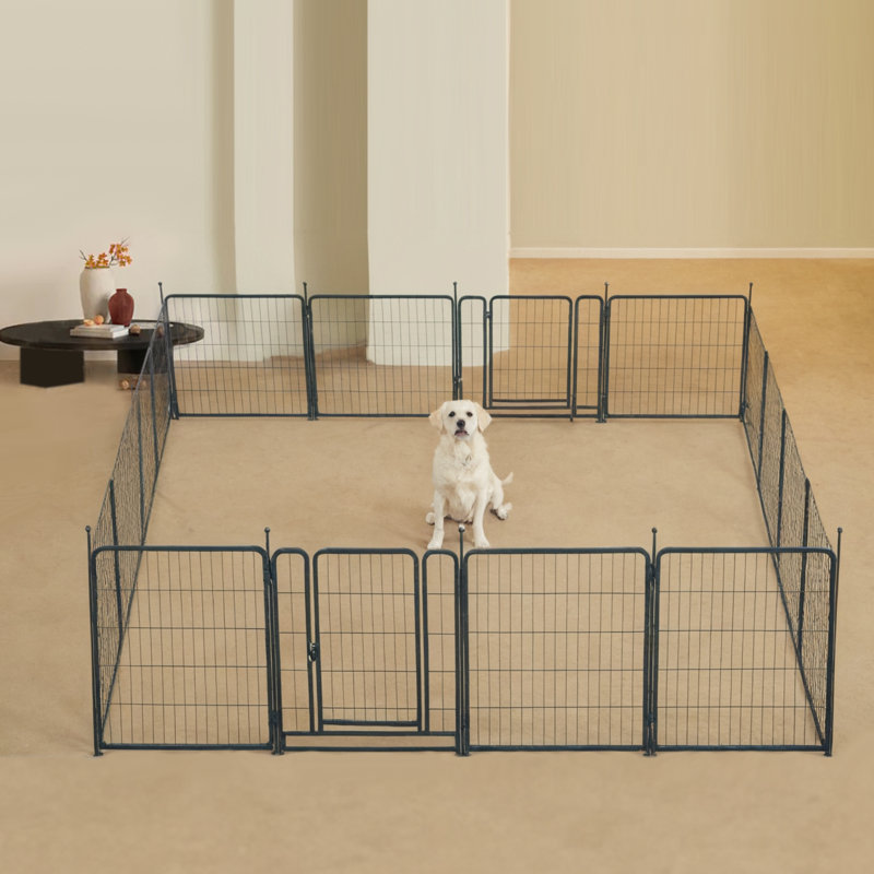 Parc pour chien