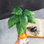 Décoration de table squelette d'Halloween 11,50 "H
